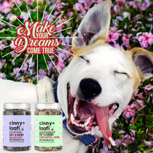 Load image into Gallery viewer, Soft And Chewy Gluten Free Dog Treats 2021