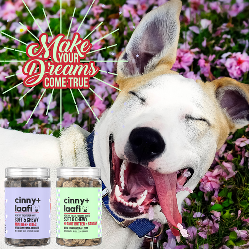 Best Grain Free Dog Training Treats