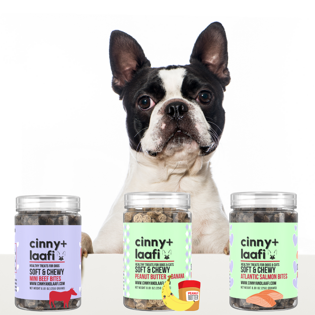 Soft And Chewy Gluten Free Dog Treats Cinny Laafi cinny laafi