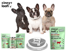 Load image into Gallery viewer, sweet potato fries for all sizes of dogs
